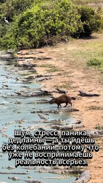Самое главное идти без колебаний