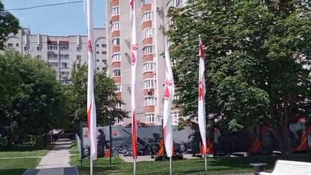 1000008163.mp4