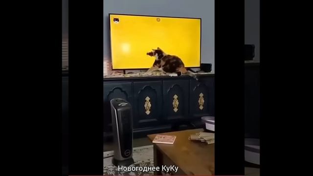 НОВОГОДНЕЕ КУКУ 😋