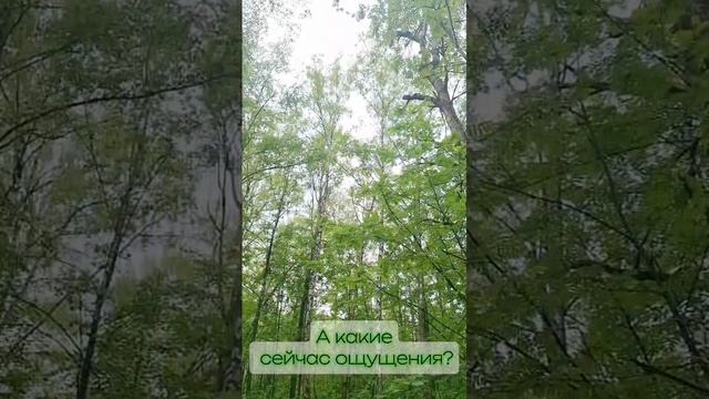 ритрит на природе)