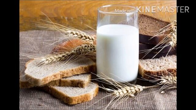 Интересные факты о молоке 🥛