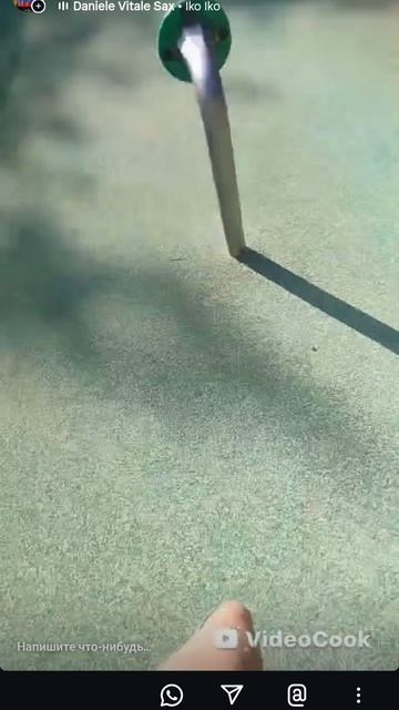 1000064064.mp4