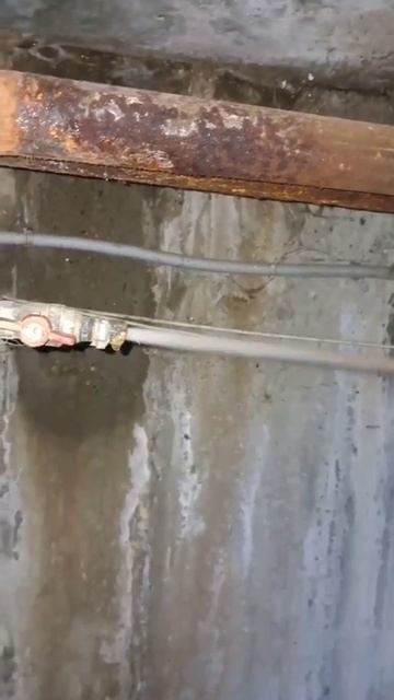 Голубые дали, 2