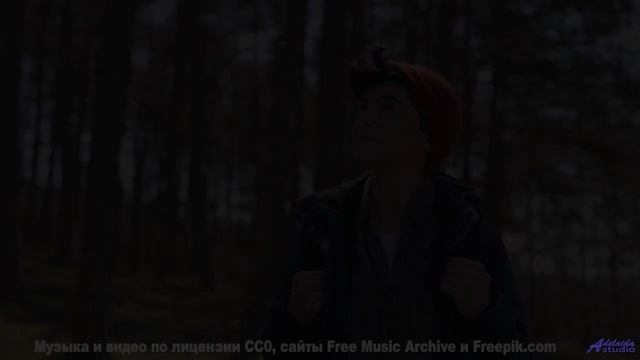 Вы не видели зиму такой, пока не услышали этот трек! - Fireflies -- Ketsa -- Growth