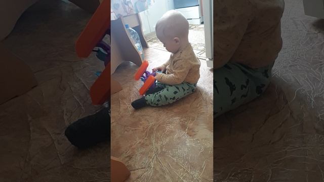 Рома после прогулки, 14:00, 11.06.2025