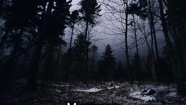 если бы я была...