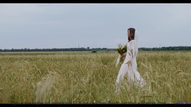 Музыка для цифрового воскрешения - где границы этики - Nothing at All -- Delay 77 -- Dont Stare at t