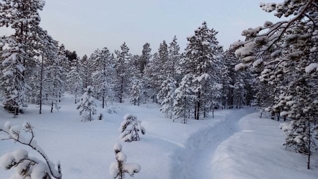 Чародейкою зимою