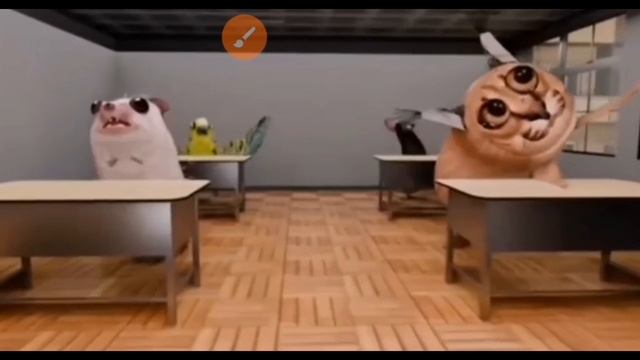 XRecorder_20250611_03.mp4