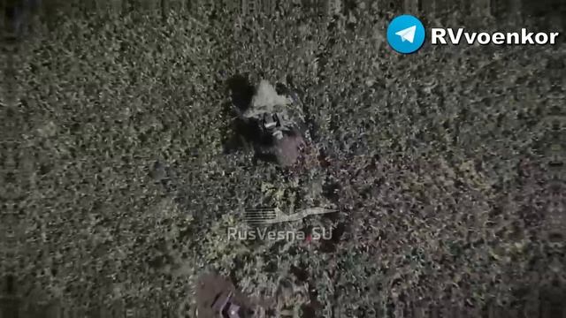 ‼️🇷🇺Дерзкая операцмя бойцов "Бессмертного" полка !!!
