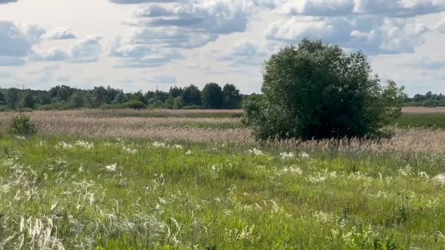Купить участок в Старом Осколе