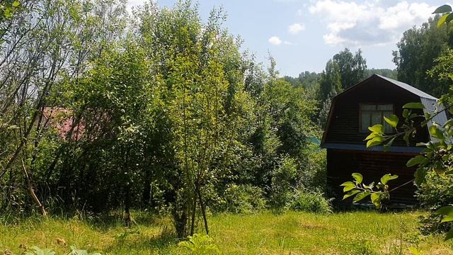Вот и ночка пришла...