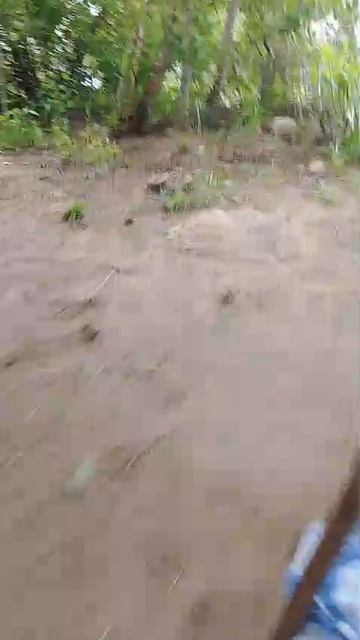 1000007401.mp4
