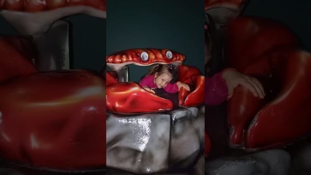 В океанариуме.
