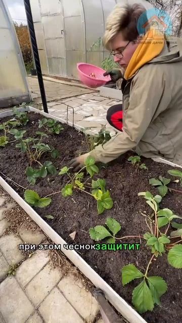 Хорошие соседи