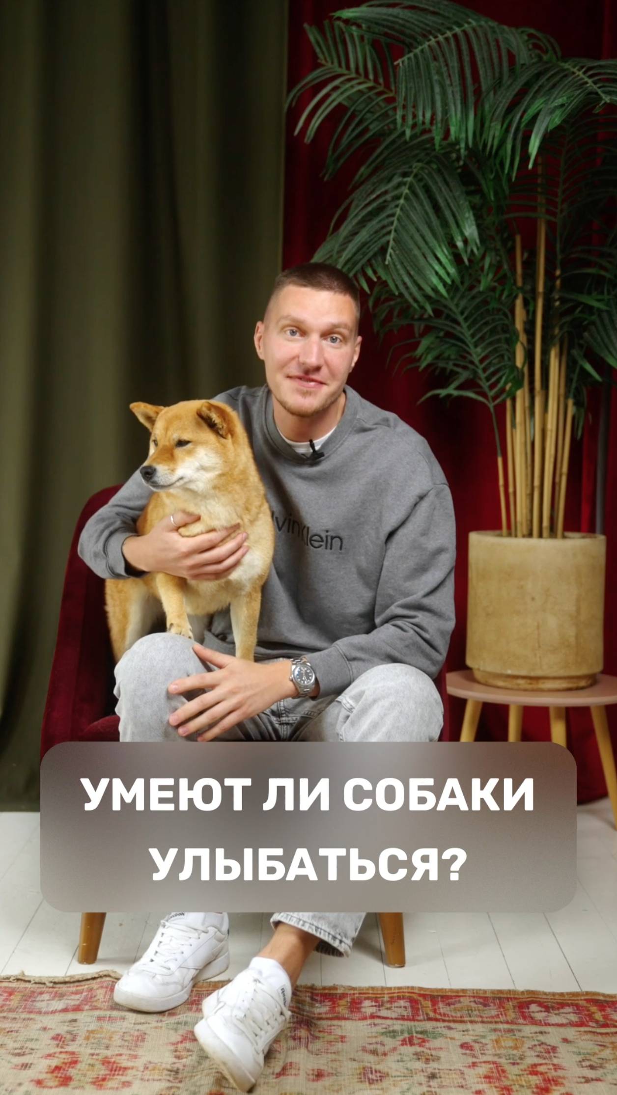 Умеют ли собаки улыбаться?
