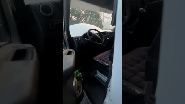 газель