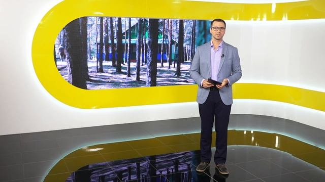 День с Толком 10.06.2025