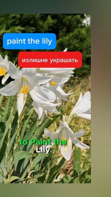 Идиома "paint the lily"