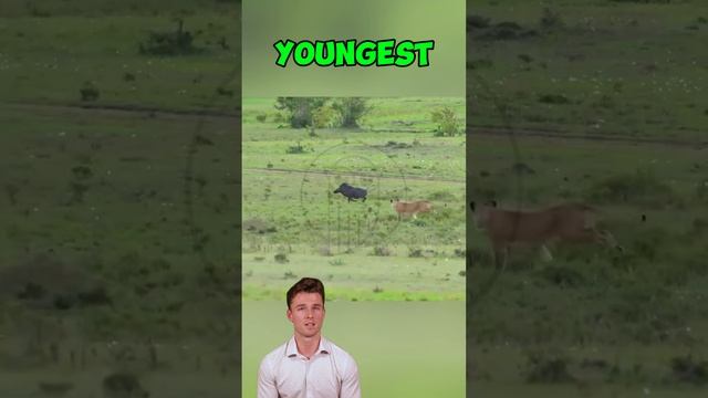 W4cuKfI973I - A Warthog's Last Battle Against the Mighty Lion #shorts #animals #wildlife