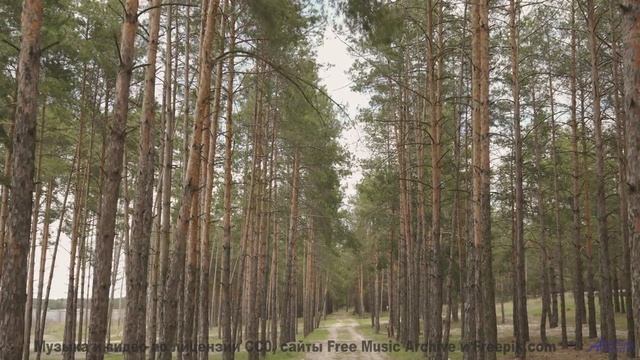 Этот трек перевернёт представление о природе - Hope And Belief 2 -- Kirk Osamayo -- Season Two (YELL