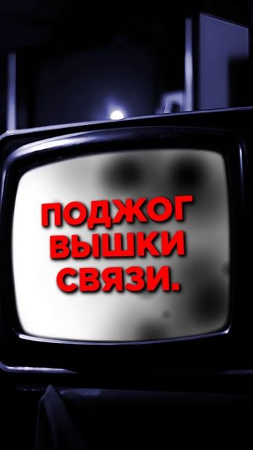 12.03