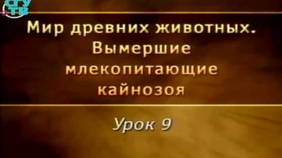 Вымершие млекопитающие # 9. Южноамериканские копытные
