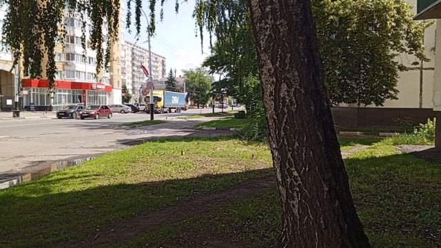 1000008054.mp4