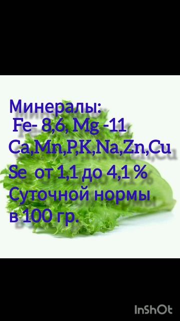 Салат латук. Витаминно- минеральный состав.