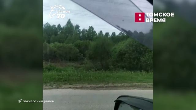 Новости региона с Анастасией Хлань
