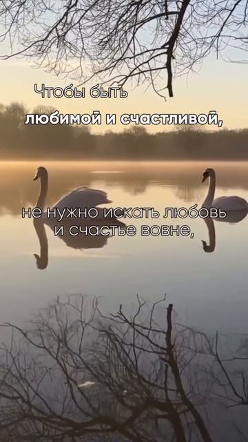 Счастье и любовь — они ближе, чем ты думаешь…