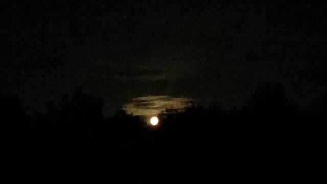 Полнолуние 🌕 11 июня 2025 года. Клубничная Луна. Астрономия, астрология, релакс 😔