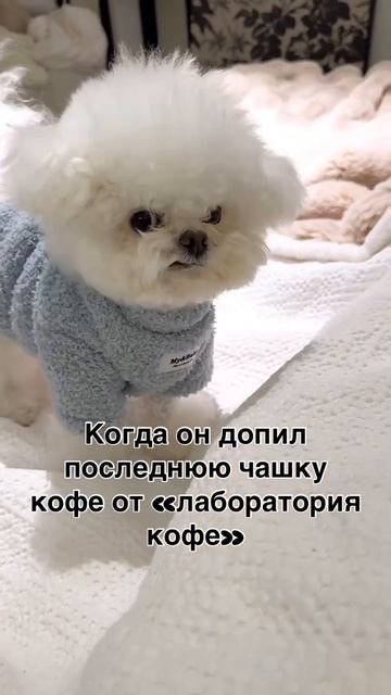 Выпил любимый кофе 🥲