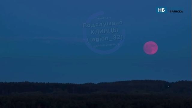 Брянцы полюбовались Клубничной Луной