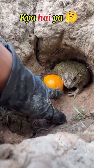 Предупреждён — значит вооружён