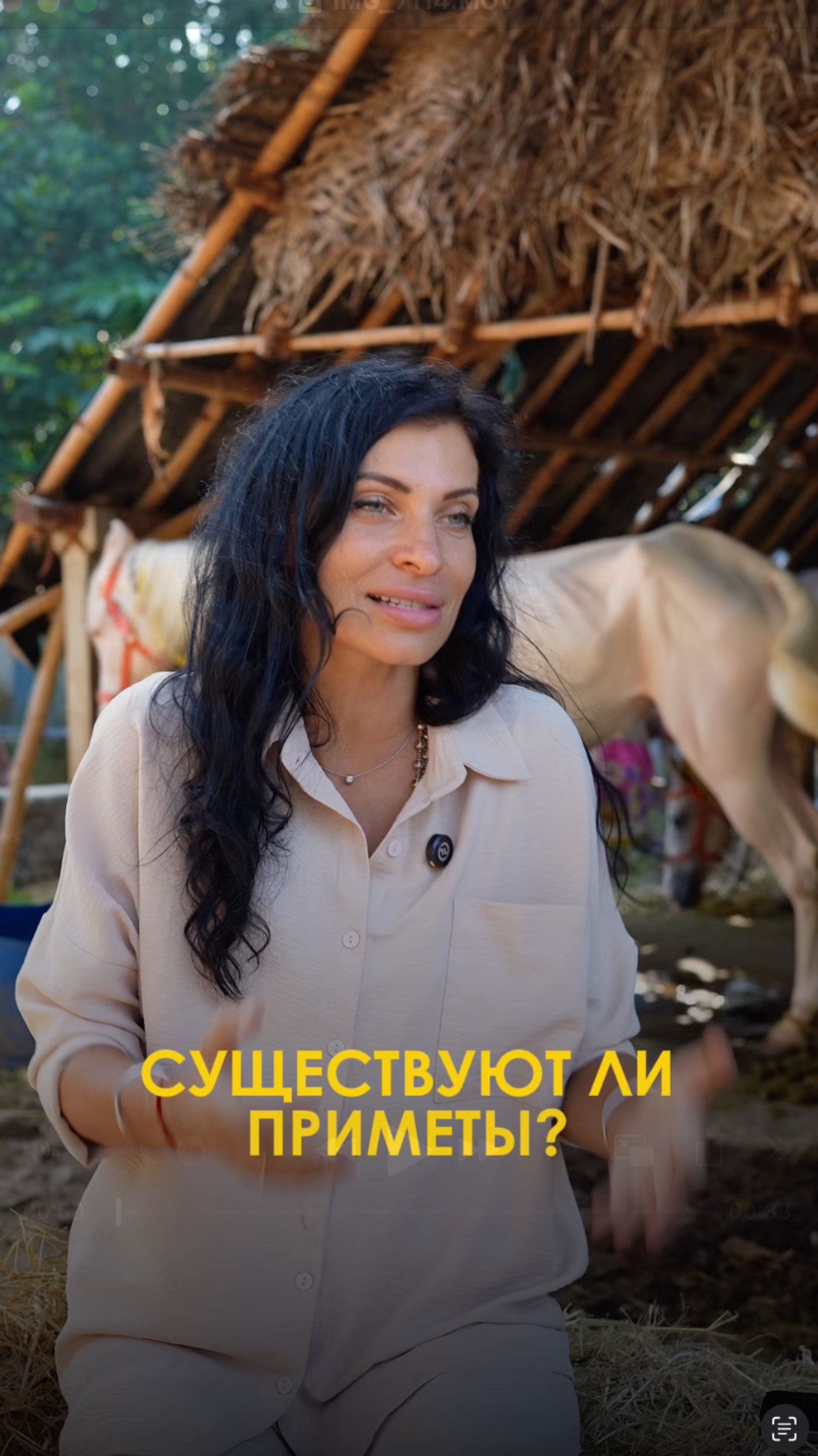 11 Июня 2025г.