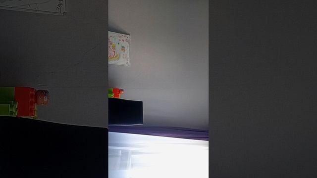 Вот что записал видеорегистратор в машине.