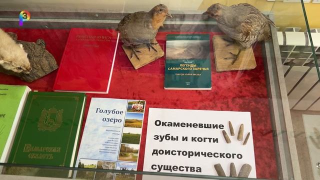 Школьный музей