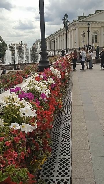 11-06-2025возле центрального выставочного зала