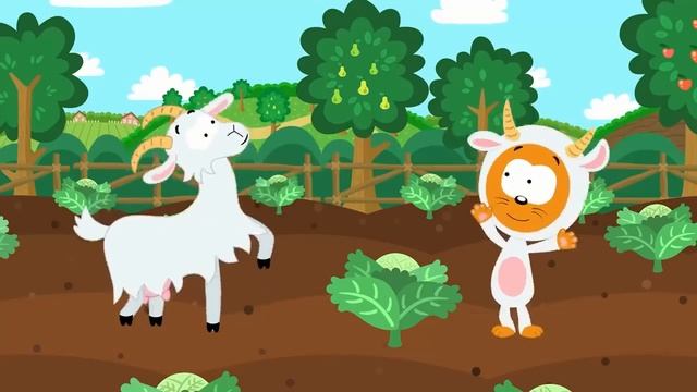 котэ обучающие песенки. Мультфильм для детей и малышей