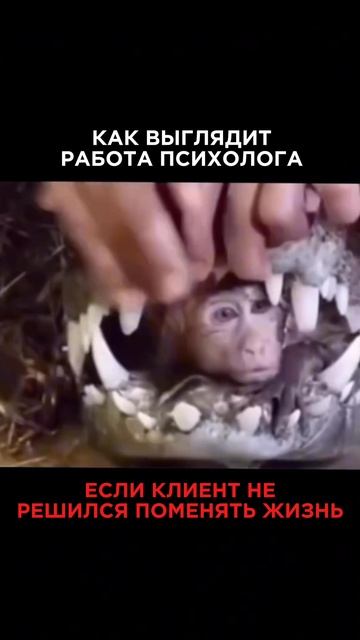 Согласны?