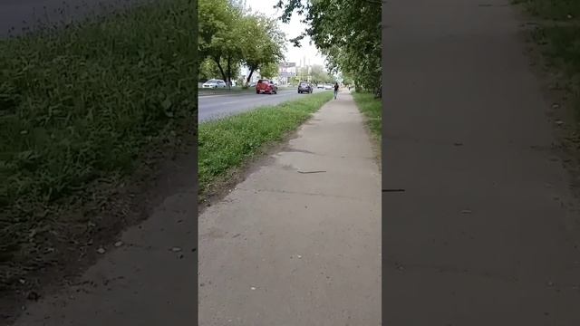 petal_20250611_182602.mp4