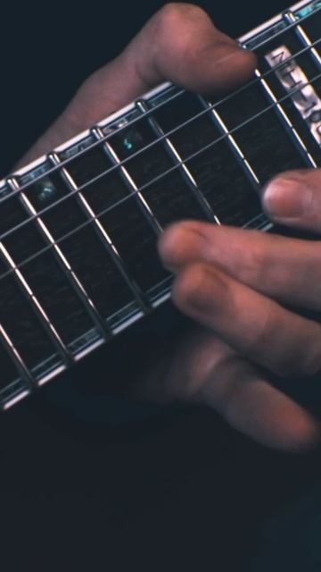 Вся правда о Pashred