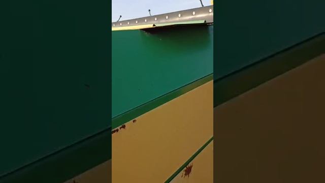 Роликовый калибратор СНР.01.000