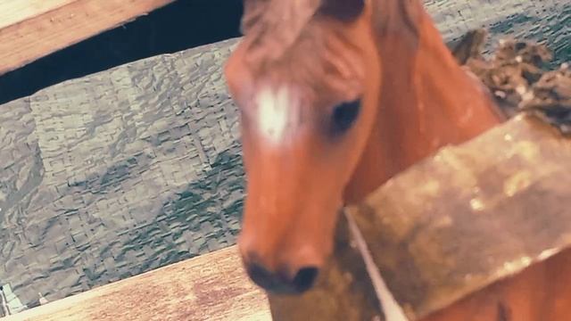 Заставка к сериалу "кукловод"