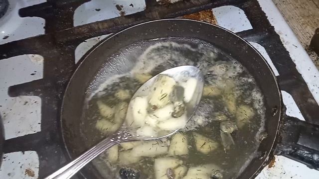 Мясо улиток рецепт приготовления пищи из улиток