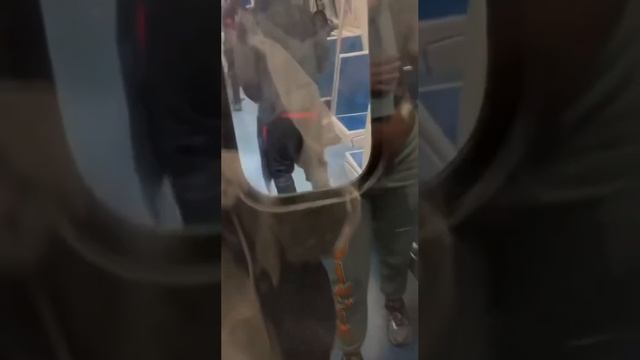 Белый мужчина подвергся жестокому нападению со стороны троих чернокожих подростков в поезде метро в