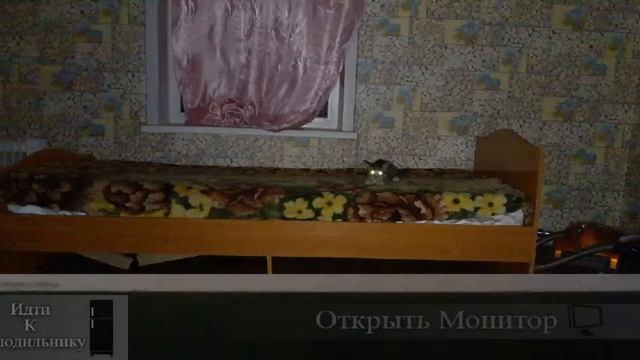 Прохожу 2 ночь в 5 ночей с ёжиком.