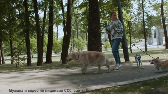 Музыка качает душу сильнее любого прилива - Charmed -- Ketsa -- Metaphysics