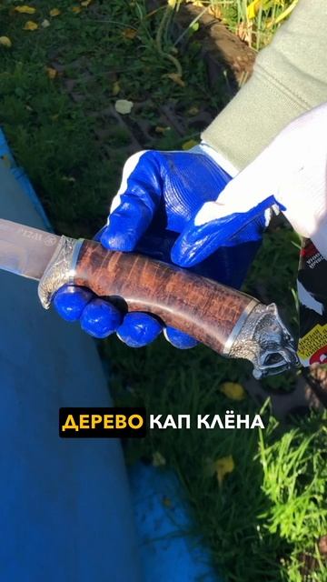 Они не вымерли! Авторский проект Саблезубый тигр